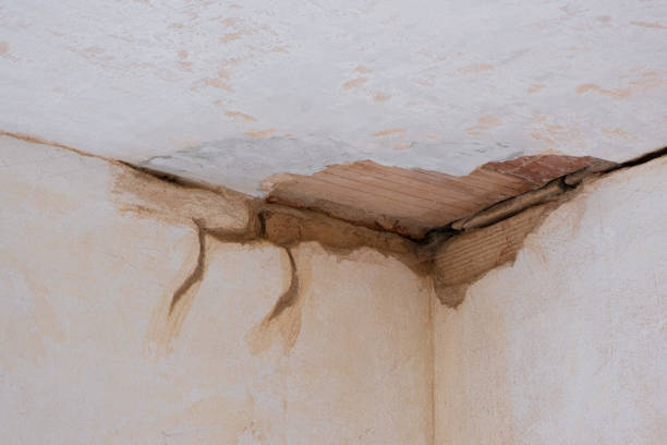 Best Carpet water damage restoration  in Indian Springs, GA