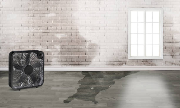 Best Fire Damage Restoration  in Indian Springs, GA