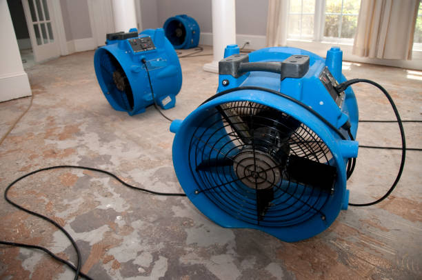 Best Mold removal after water damage  in Indian Springs, GA