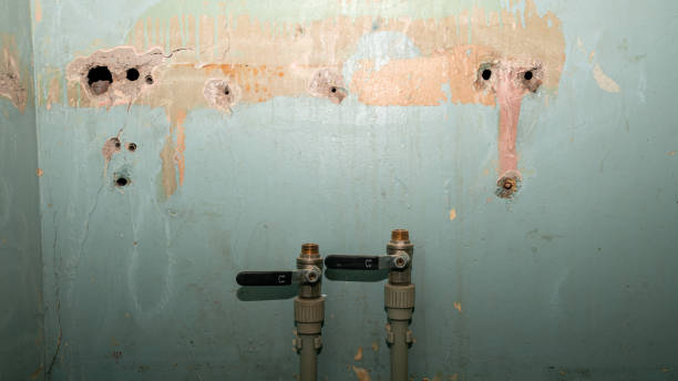 Best Sewage cleanup and water damage restoration  in Indian Springs, GA