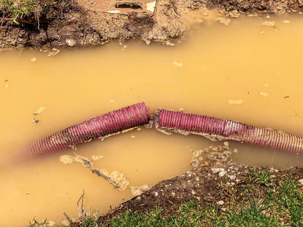 Best 24-hour water damage restoration  in Indian Springs, GA