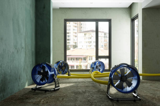 Best Water damage contractors near me  in Indian Springs, GA
