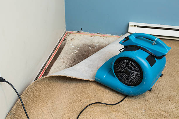 Best Local water damage restoration  in Indian Springs, GA